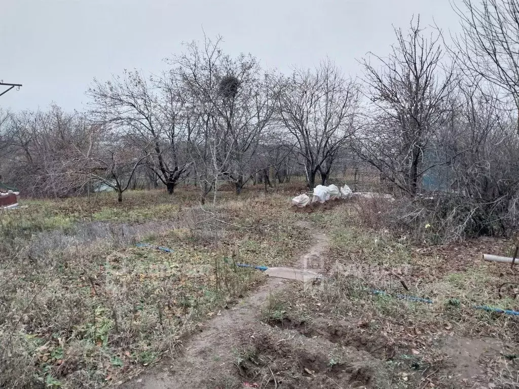 Участок в Волгоградская область, Волгоград Ветеран СНТ,  (14.4 сот.) - Фото 1