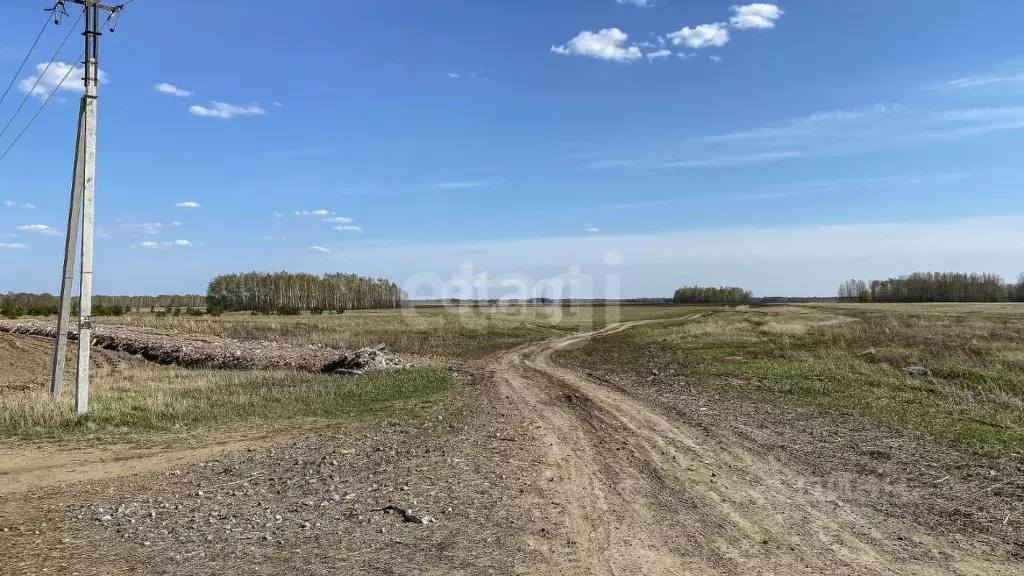 Участок в Тюменская область, Тюменский район, с. Луговое  (8.0 сот.) - Фото 1