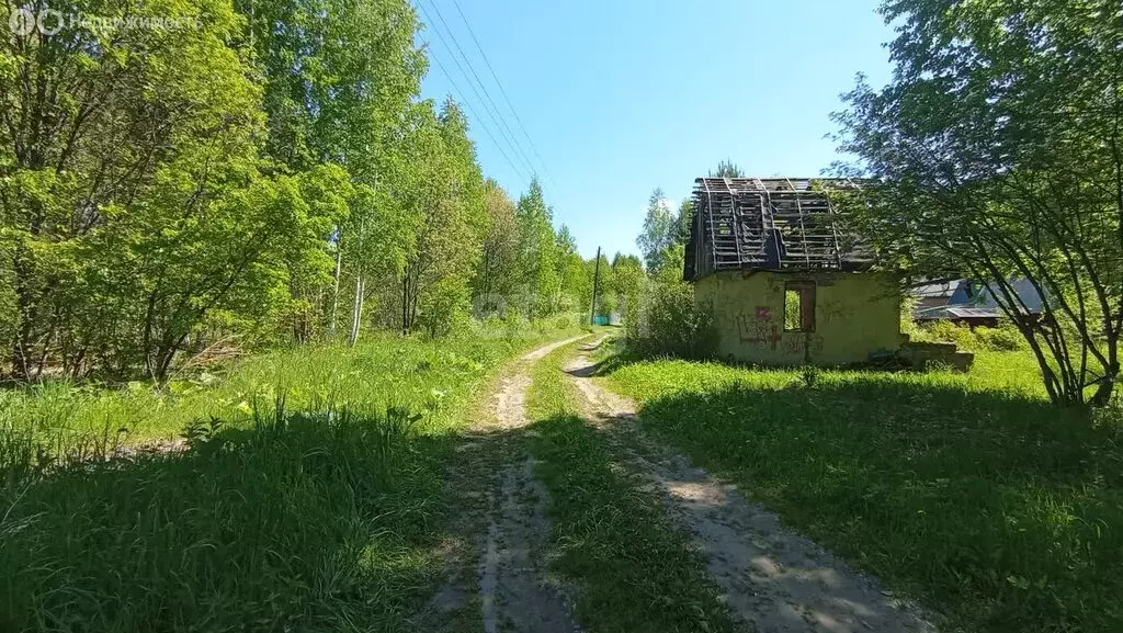 Дом в Морозовский сельсовет, садовое товарищество Зелёный Дол (24 м) - Фото 1