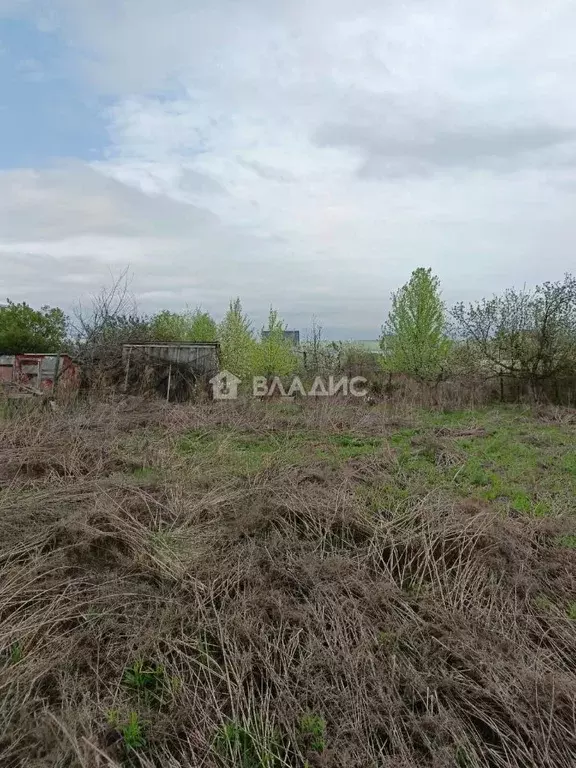 Участок в Пензенская область, Пензенский район, Алферьевский ... - Фото 2