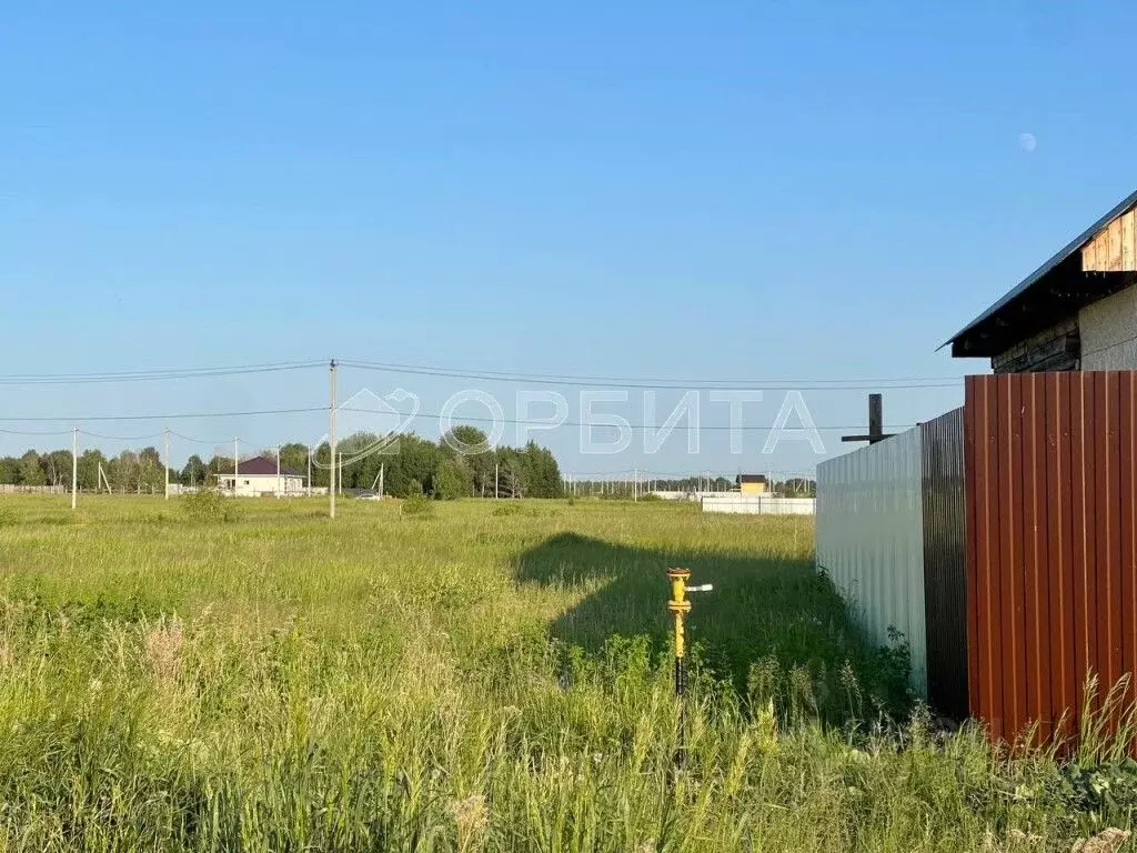 Участок в Тюменская область, Тюменский муниципальный округ, д. Большие ... - Фото 1