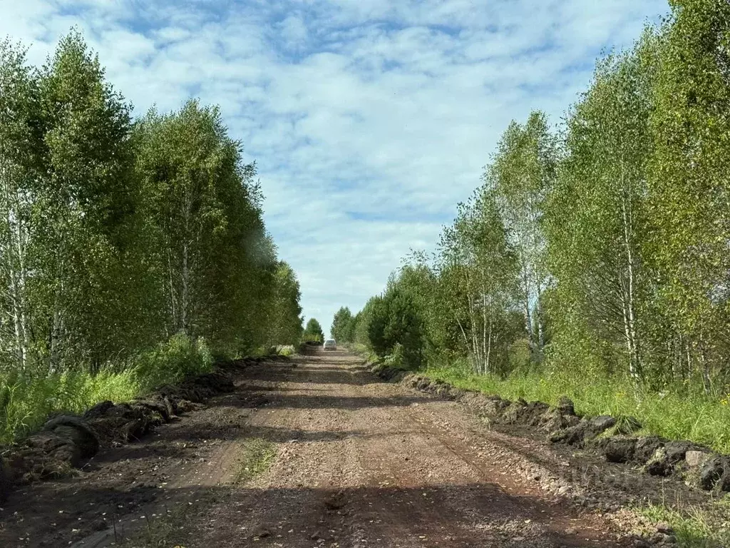 Участок в Кемеровская область, Новокузнецкий муниципальный округ, с. ... - Фото 1