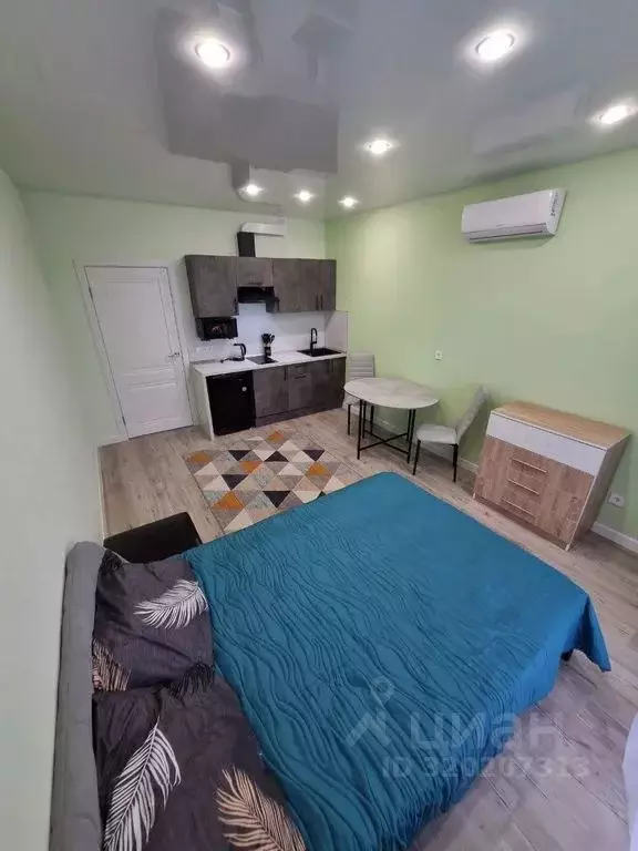 Студия Санкт-Петербург ул. Чирикова, 5 (26.0 м) - Фото 2