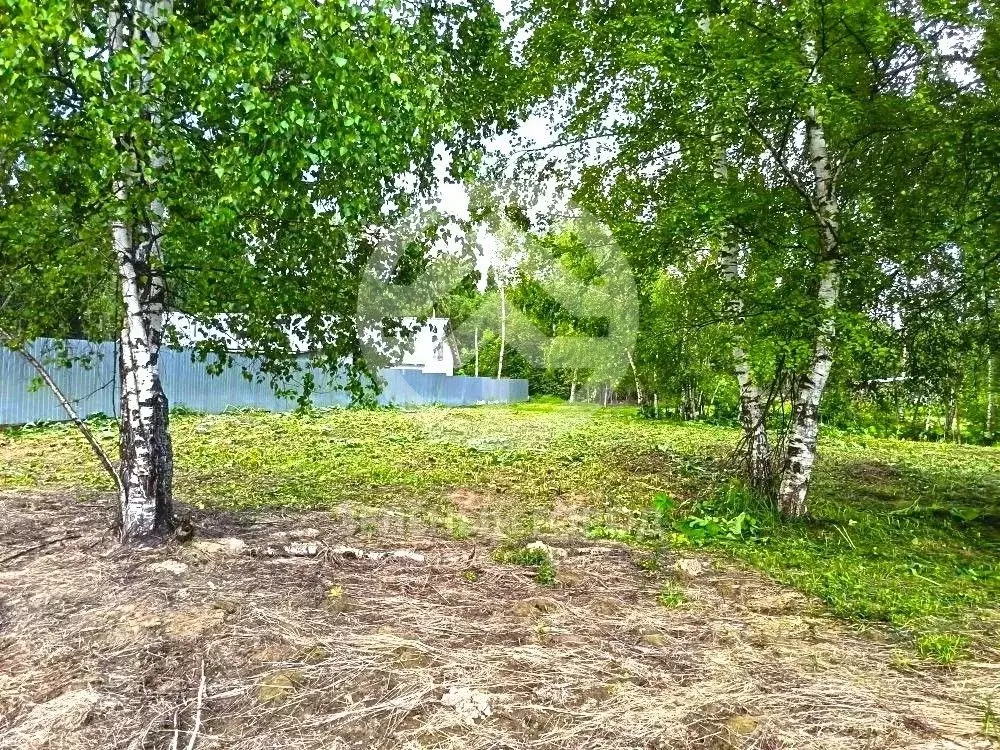 Участок в Московская область, Клин городской округ, д. Решоткино ул. ... - Фото 2