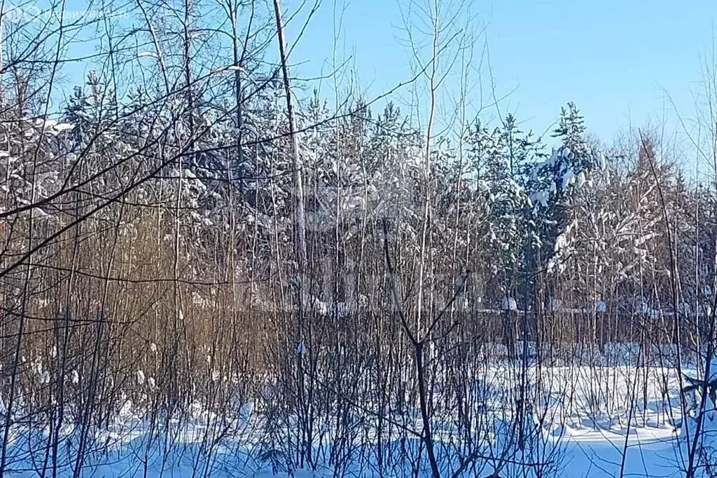 Участок в Одинцовский городской округ, посёлок Горки-2 (80 м) - Фото 2