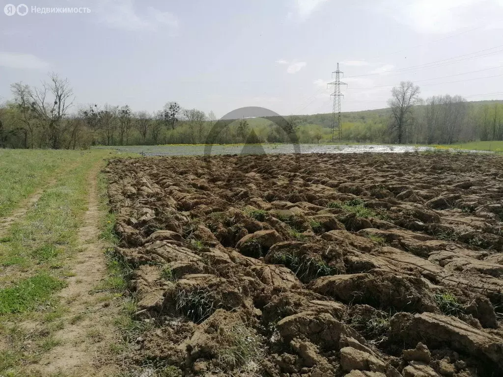 Участок в Апшеронский район, станица Кубанская (439.87 м) - Фото 0