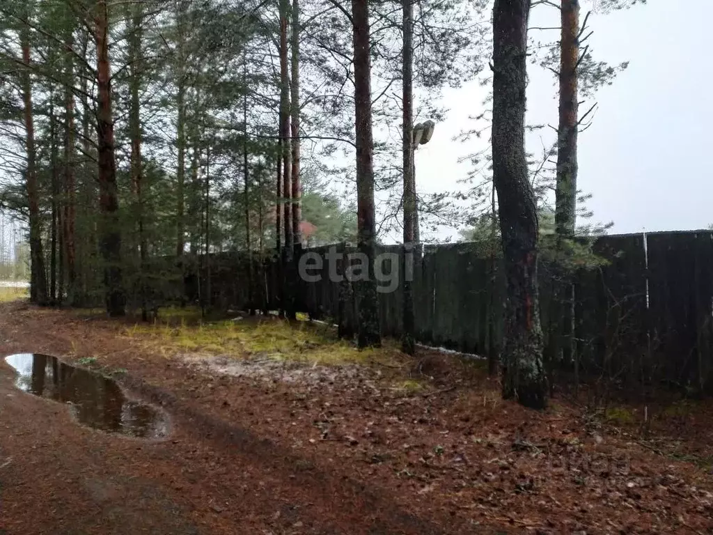 Участок в Архангельская область, Котлас муниципальное образование, д. ... - Фото 1