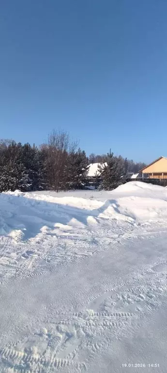 Участок в Томская область, Томский район, Поселок Зональная ст.  (8.38 ... - Фото 2
