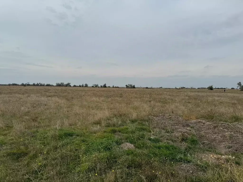 Участок в Крым, Сакский район, Штормовское с/пос, с. Крыловка ул. Мира ... - Фото 1