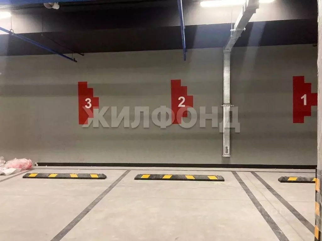 Гараж в Новосибирская область, Новосибирск Плановая ул., 60А (13 м) - Фото 0