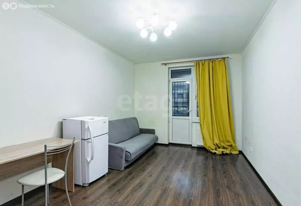 Квартира-студия: Санкт-Петербург, проспект Ветеранов, 171к5 (24.5 м) - Фото 2