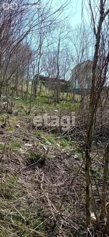 Участок в Краснодарский край, Сочи, посёлок Вардане (7 м) - Фото 1