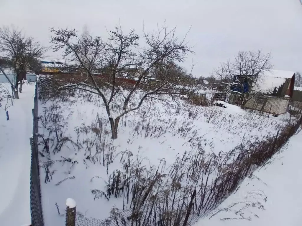 Участок в Брянская область, Брянский район, Снежское с/пос, пос. ... - Фото 2