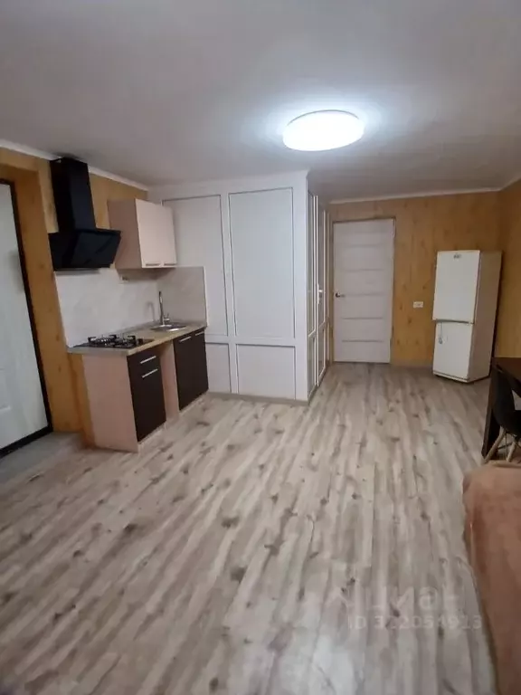 1-к кв. Краснодарский край, Сочи городской округ, с. Русская Мамайка, ... - Фото 1