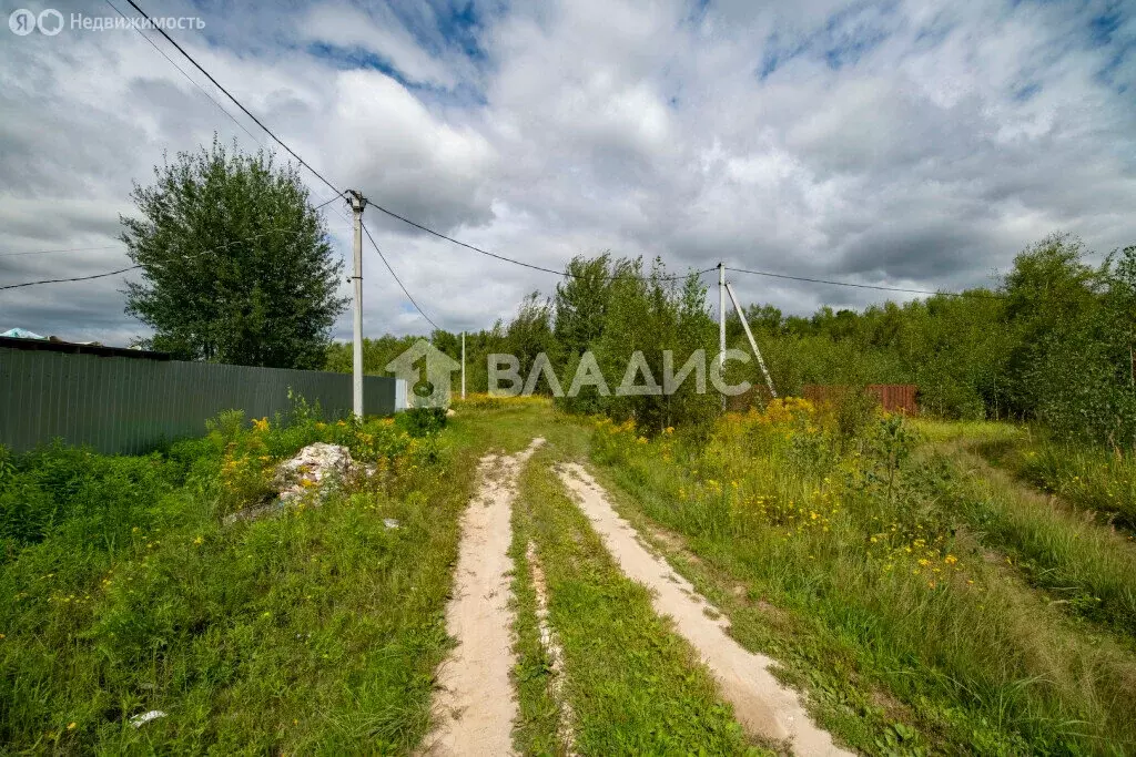 Участок в Нижегородская область, Богородский муниципальный округ, село ... - Фото 1