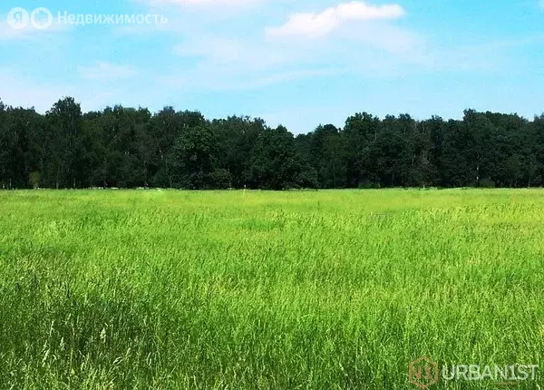 Участок в городской округ Красноярск, посёлок Солонцы (7.5 м) - Фото 2