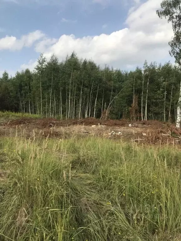 Участок в Нижегородская область, Кстовский муниципальный округ, с. ... - Фото 0