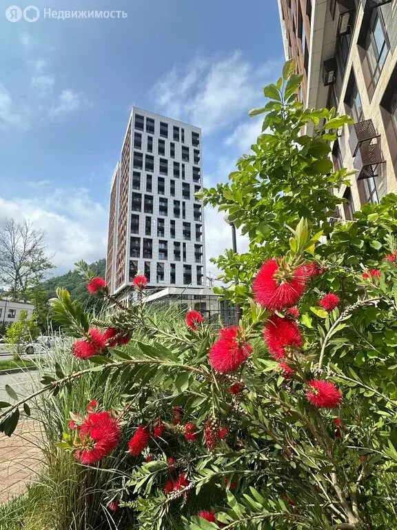 2-комнатная квартира: посёлок городского типа Дагомыс, Батумское ... - Фото 2