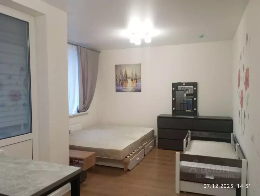 Студия Ленинградская область, Мурино Всеволожский район, просп. ... - Фото 2