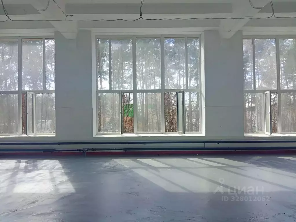 Склад в Московская область, Ногинск Богородский городской округ, ул. ... - Фото 1