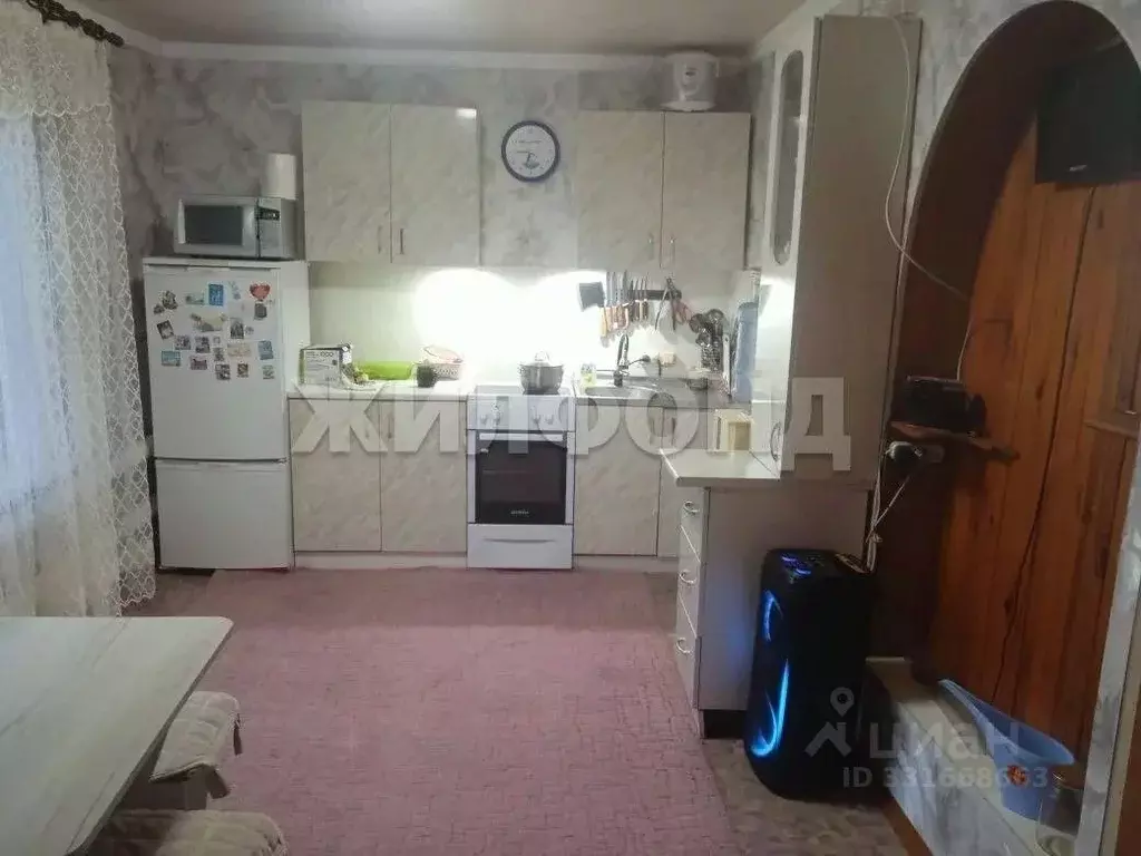 Дом в Новосибирская область, с. Кочки ул. Некрасова (46 м) - Фото 2