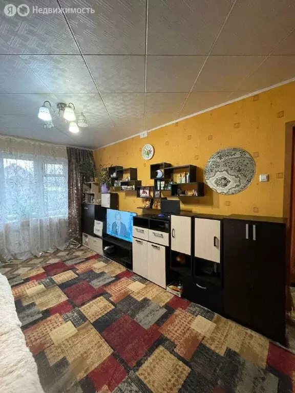 1-комнатная квартира: Семибратово, Новая улица, 2 (30.5 м) - Фото 1