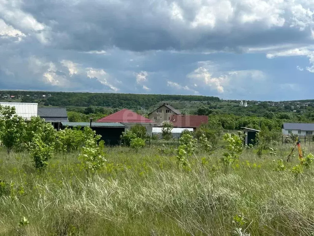 Участок в Воронежская область, Семилукский район, Губаревское с/пос, ... - Фото 2