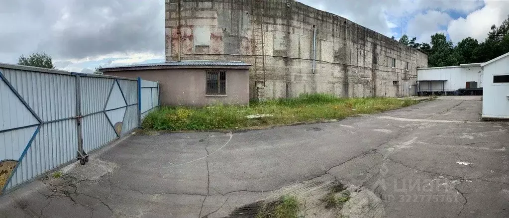 Производственное помещение в Калининградская область, Светлый ул. ... - Фото 2