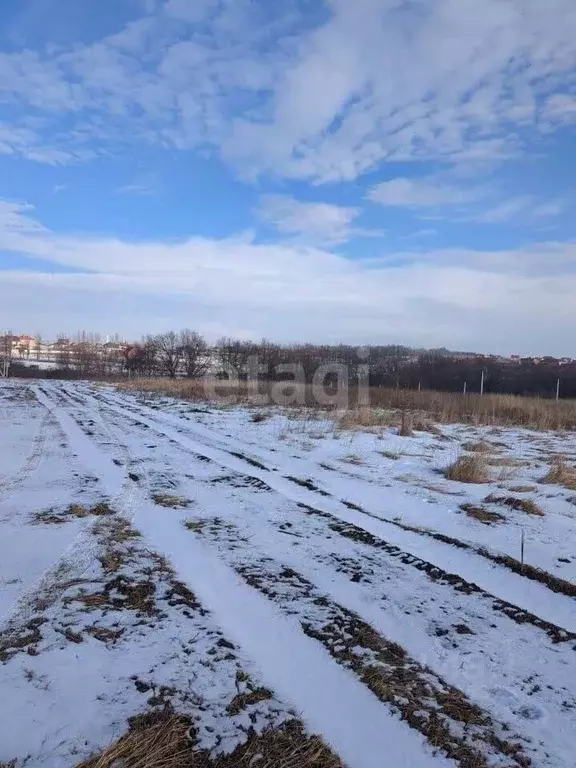Участок в Белгородская область, Белгородский район, Дубовское с/пос, ... - Фото 0