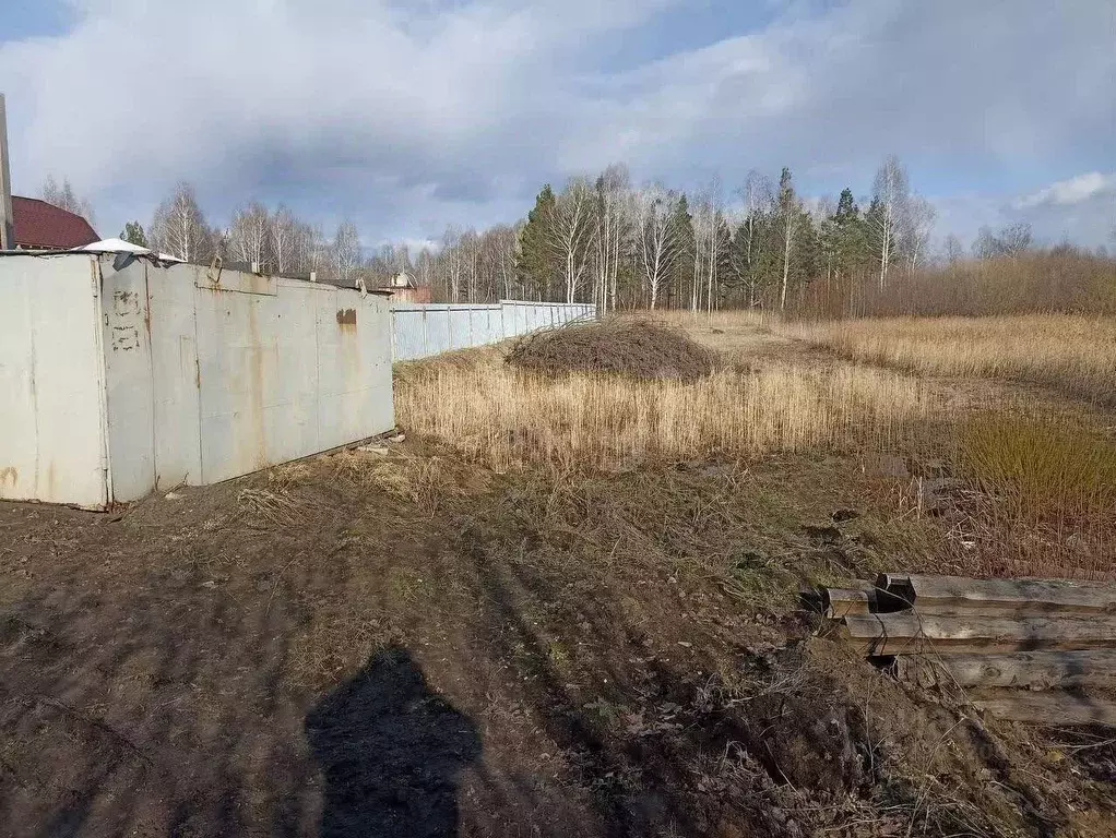 Участок в Тюменская область, Тюмень Садовое товарищество Липовый ... - Фото 1