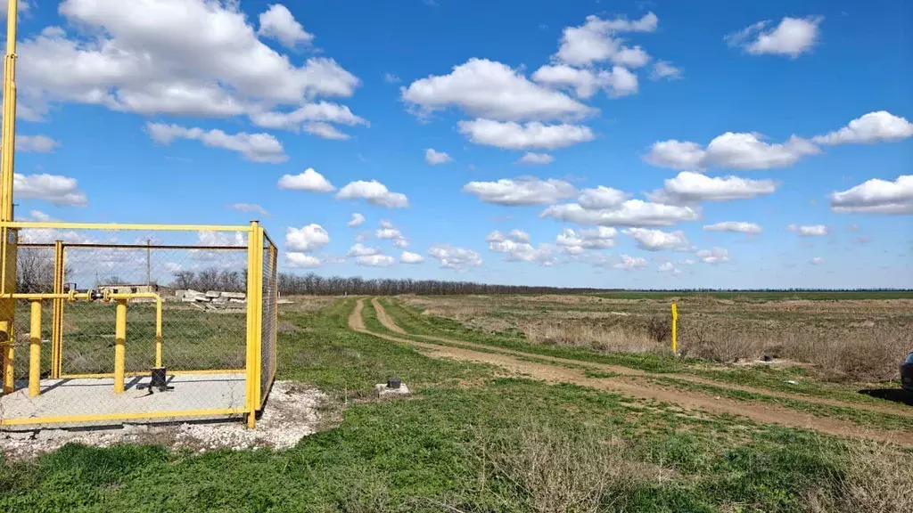 Участок в Крым, Сакский район, Ромашкинское с/пос, с. Колоски  (8.0 ... - Фото 1
