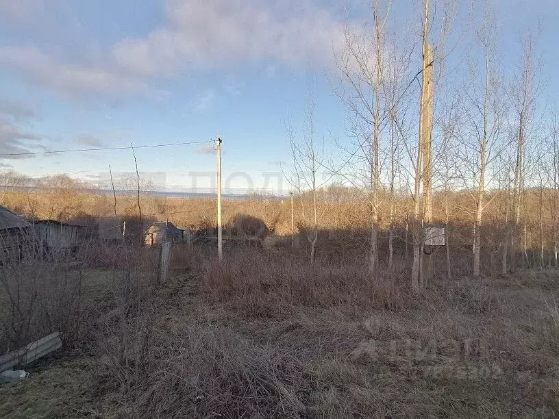Участок в Новгородская область, Шимское городское поселение, д. ... - Фото 0