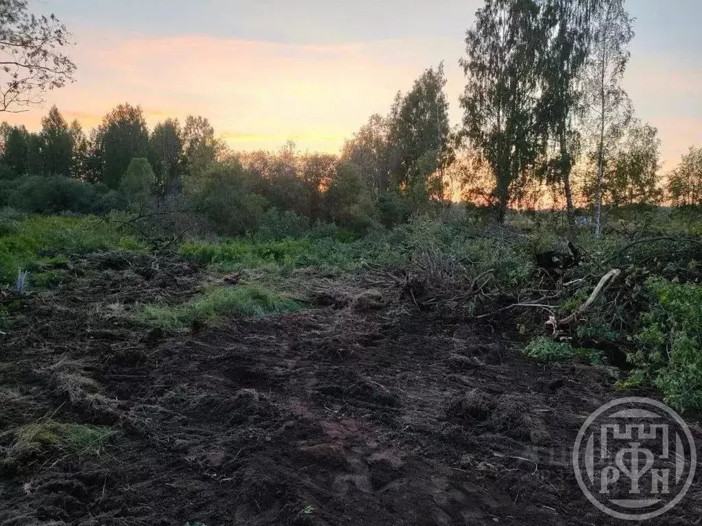 Участок в Ленинградская область, Приозерский район, Ларионовское ... - Фото 2