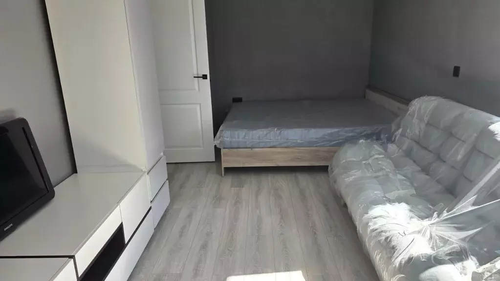 1-к кв. Санкт-Петербург просп. Энергетиков, 28К3 (30.7 м) - Фото 1