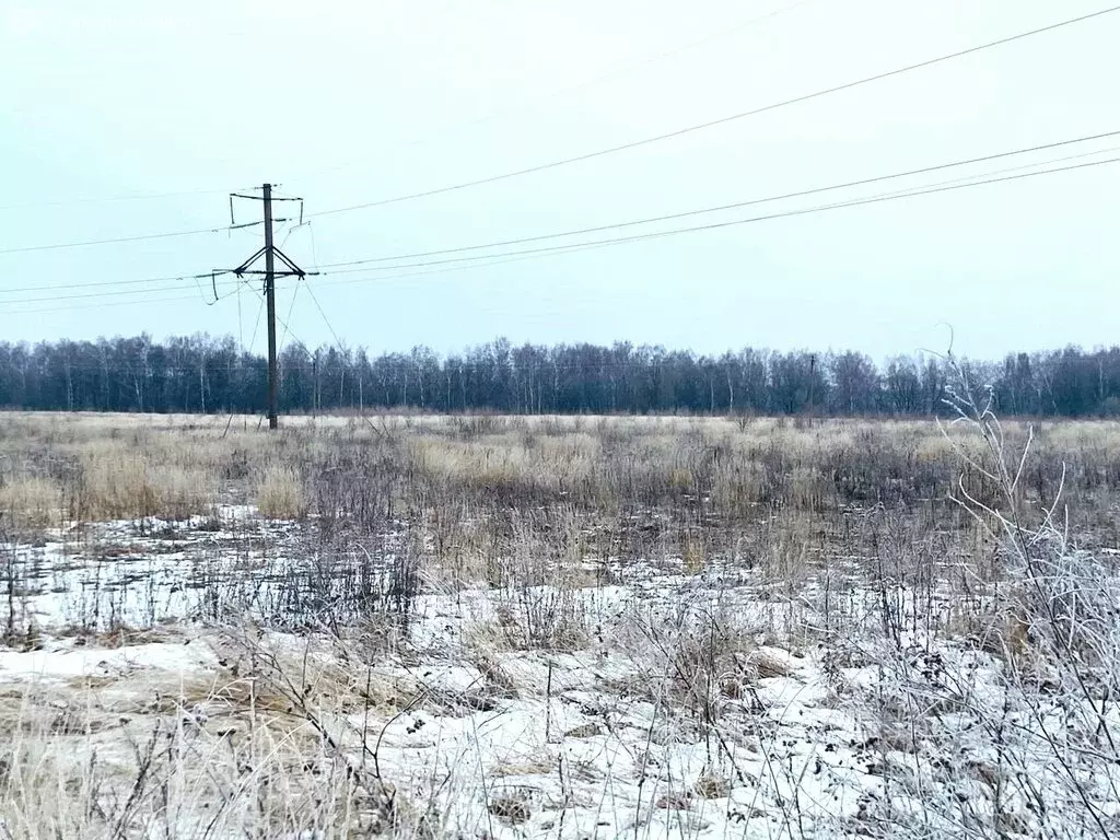 Участок в Владимирская область, Собинский муниципальный округ, село ... - Фото 0