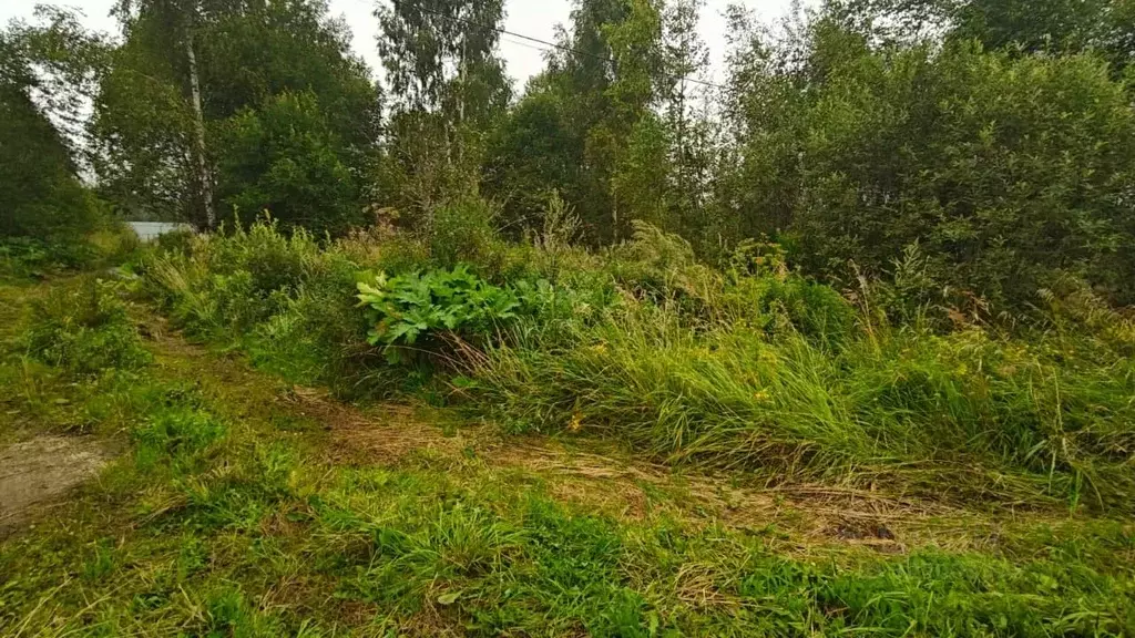 Участок в Московская область, Рузский муниципальный округ, д. ... - Фото 0
