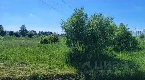 Участок в Московская область, Домодедово городской округ, д. Ртищево  ... - Фото 1