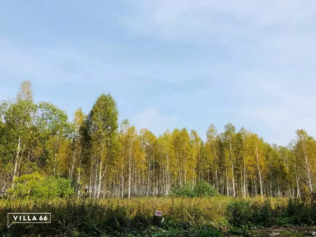 Участок в Свердловская область, Сысертский муниципальный округ, ... - Фото 0