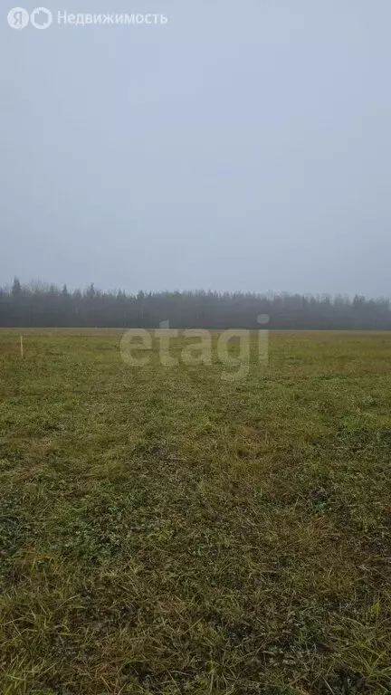 Участок в деревня Визябож, Придорожная улица (9 м) - Фото 2