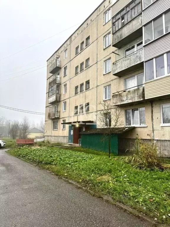 2-к кв. Ленинградская область, Волосовский район, Рабитицкое с/пос, д. ... - Фото 1