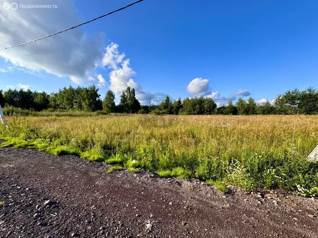 Участок в Московская область, Павловский Посад (12 м) - Фото 1