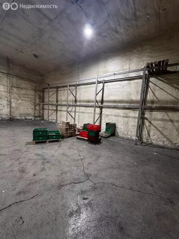 Помещение свободного назначения (165 м) - Фото 2