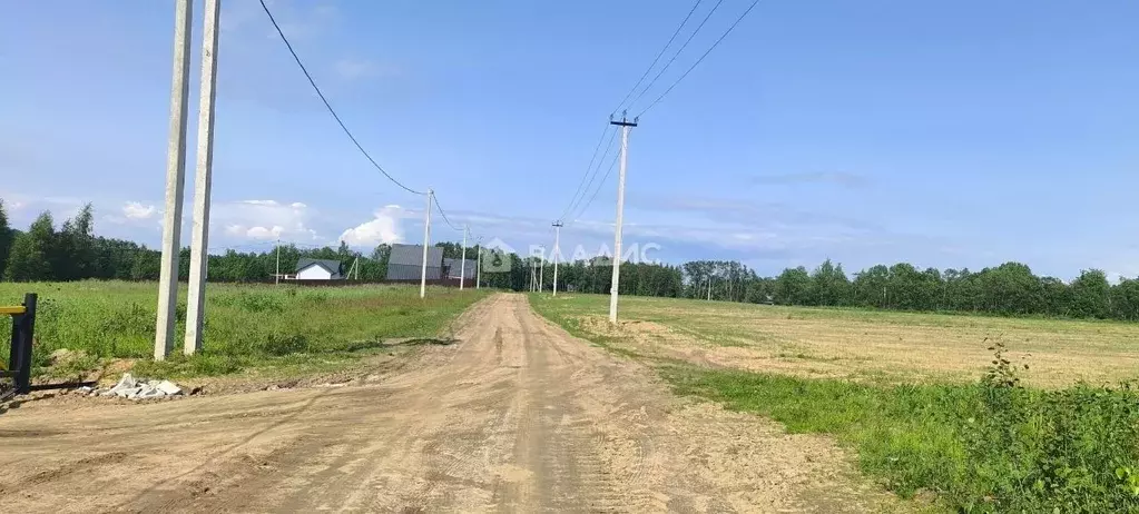 Участок в Ярославская область, Рыбинский муниципальный округ, д. ... - Фото 0