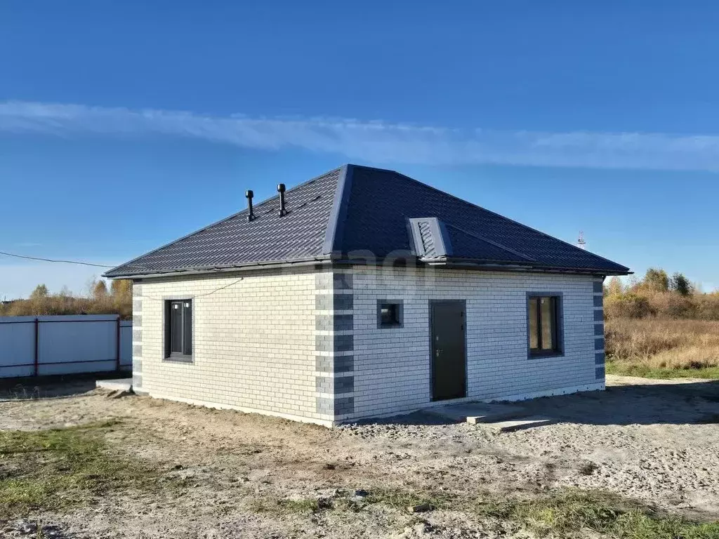 Дом в Тюменская область, Тюменский муниципальный округ, с. Борки  (80 ... - Фото 2