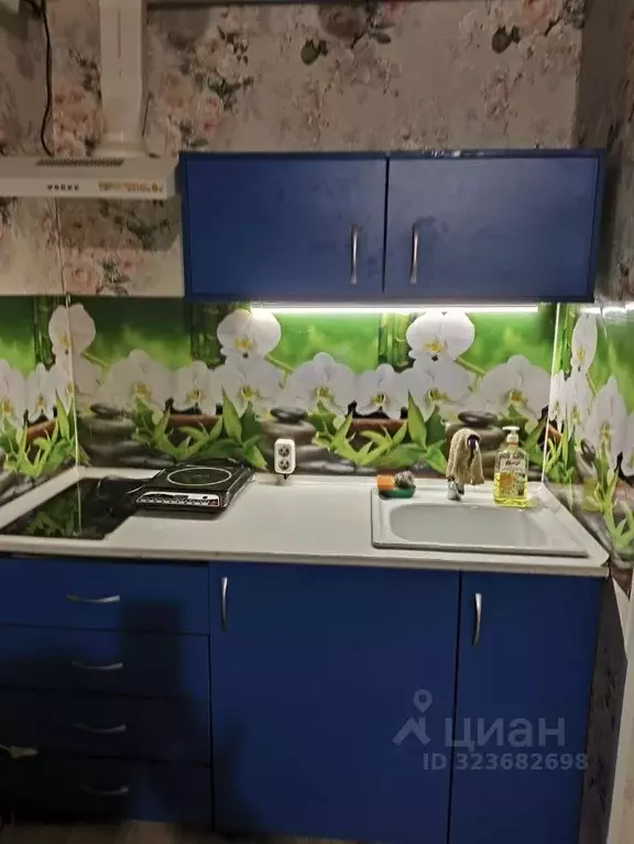 Студия Ханты-Мансийский АО, Сургут ул. Толстого, 24 (14.6 м) - Фото 1