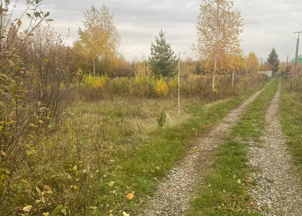 Участок в Кирилловский сельсовет, СНТ Надежда (12 м) - Фото 0