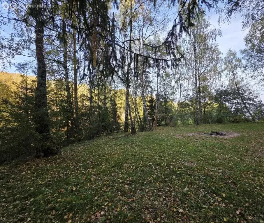 Участок в Нижегородская область, муниципальный округ Чкаловск, село ... - Фото 1
