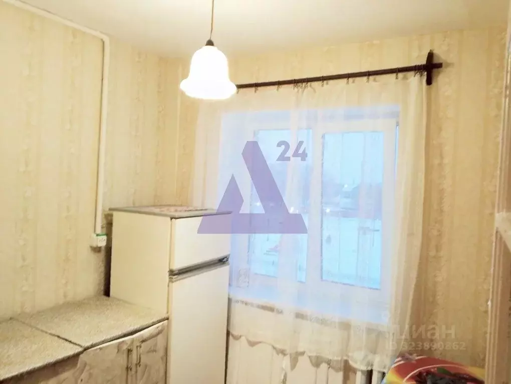 1-к кв. Алтайский край, Новоалтайск пос. Новогорский, ул. Энгельса, 8 ... - Фото 1