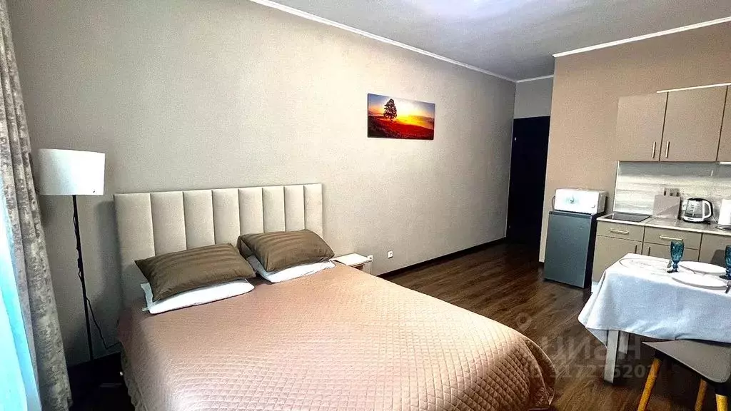 Студия Санкт-Петербург ул. Плесецкая, 20к1 (23.0 м) - Фото 1
