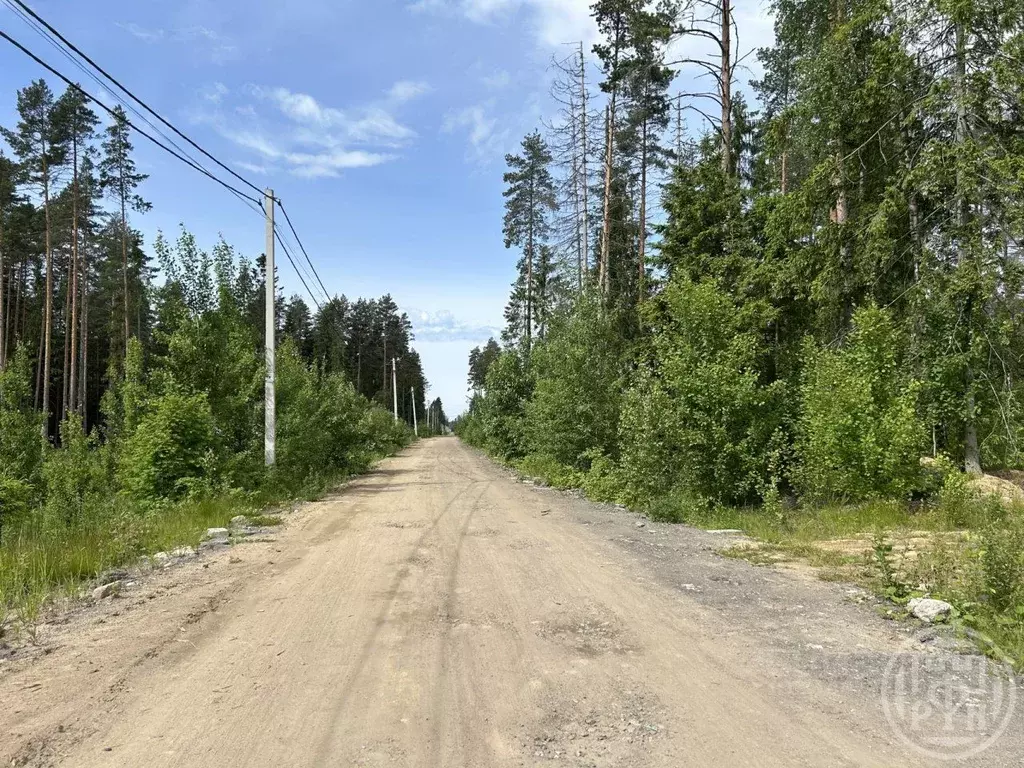 Участок в Ленинградская область, Всеволожский район, Сертоловское ... - Фото 1